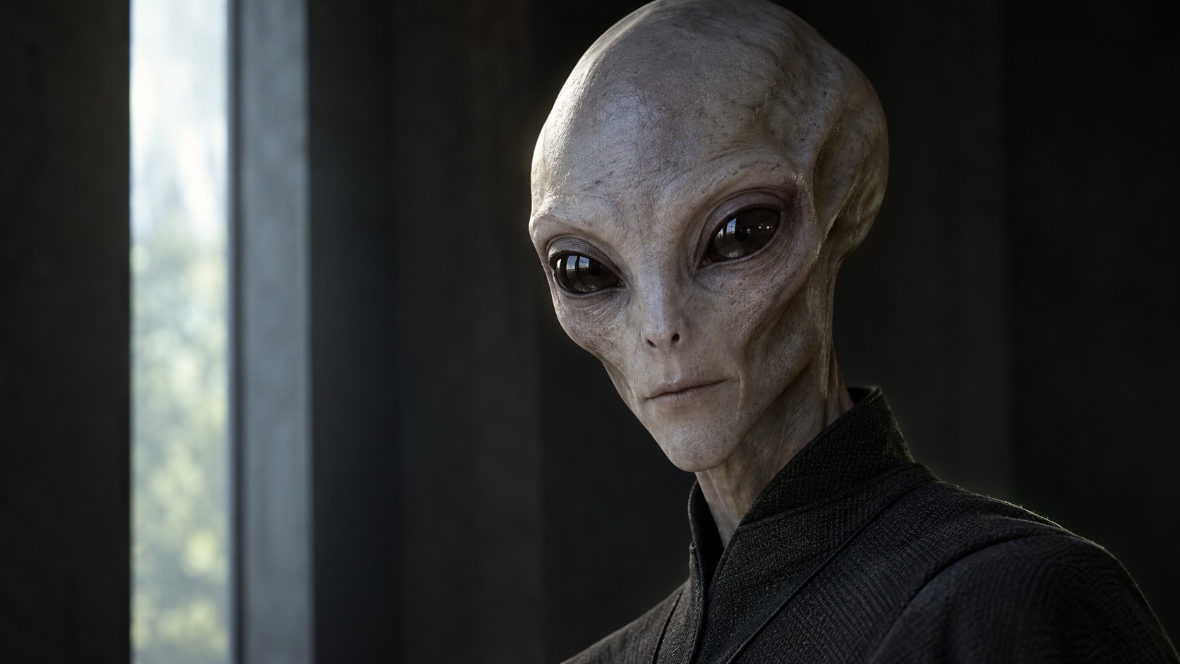 Photorealistic portrait of David imagined as a Zeta Reticulan in soft natural window light